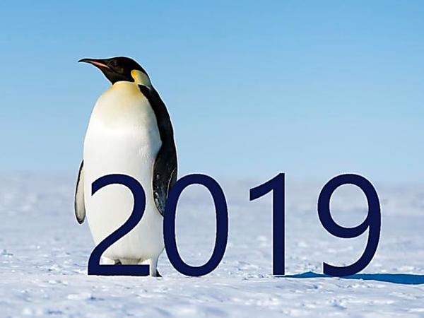Linux will seem to be everywhere in 2019