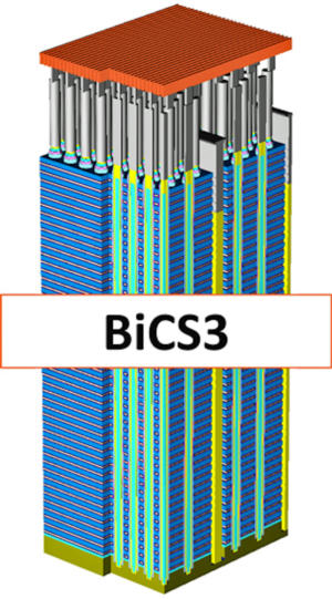 bics3 3D NAND flash WD