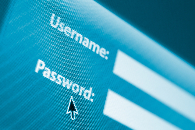 username-password-field